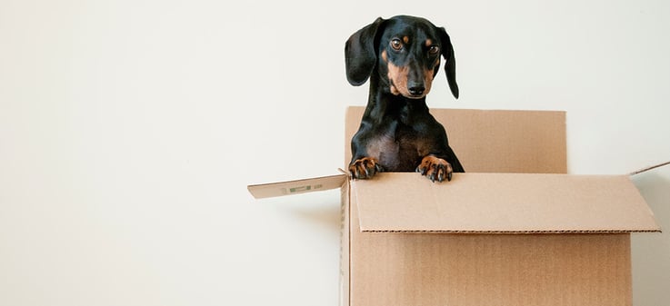 9 Ways to Make Moving to a New Place Less Stressful